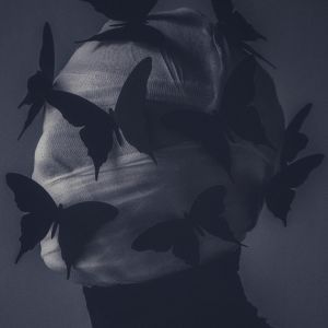 壁纸-882