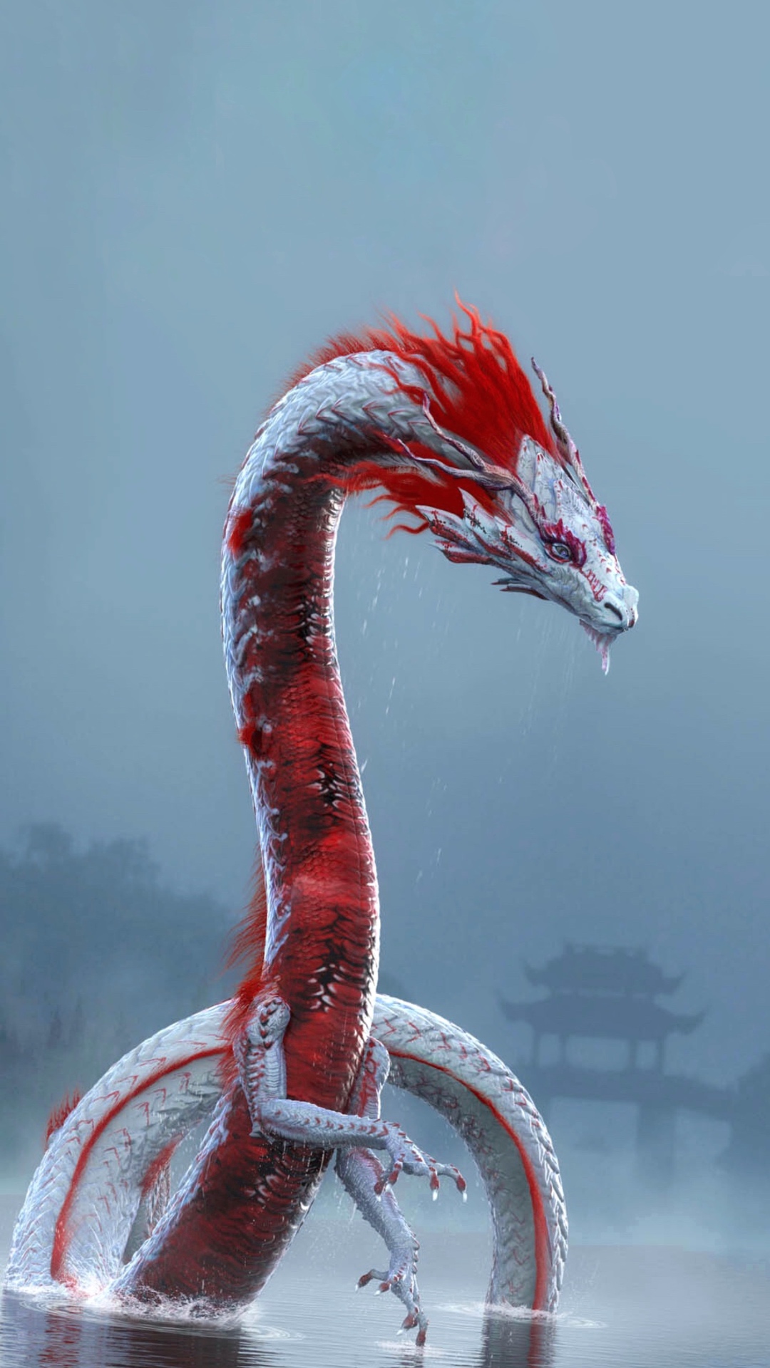 龙