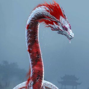 龙